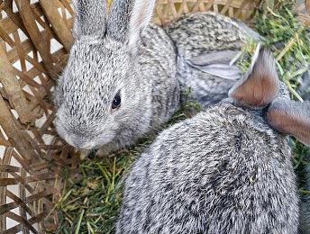 《暗黑4》蔡依林MV幕后花絮 想要踏入地狱更深处？